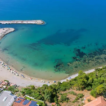 Dominella 3 *