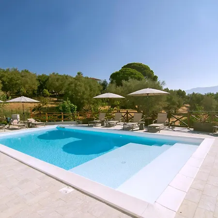 Dominella 3 *