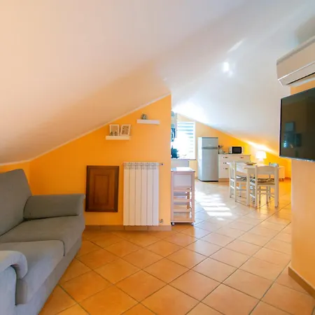 Dominella 3 *